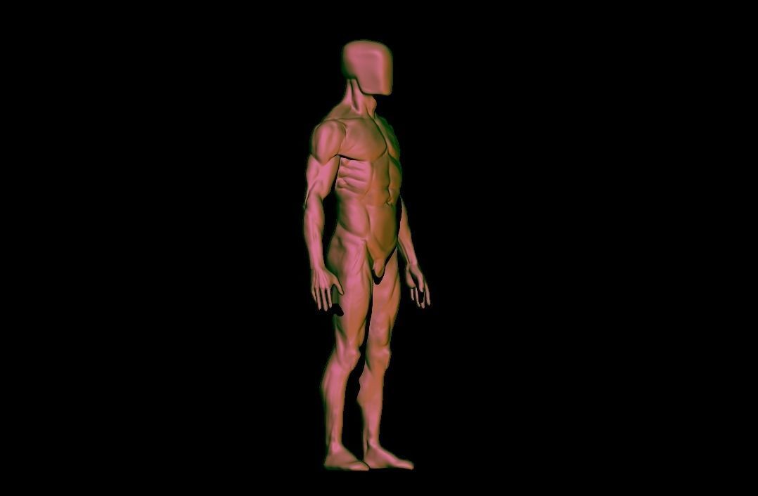 base mesh male  3D model_9