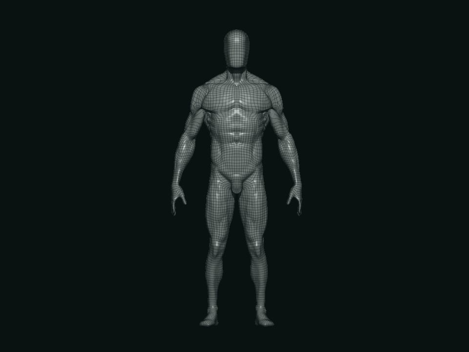 base mesh male  3D model_17