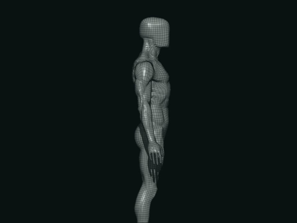 base mesh male  3D model_20