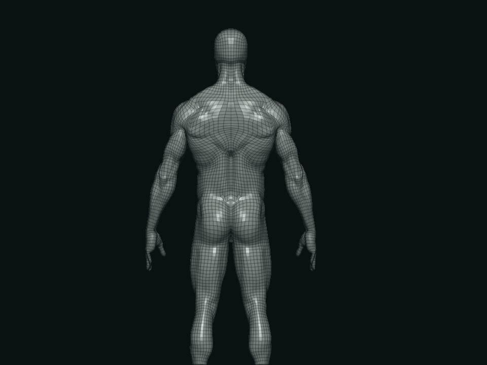 base mesh male  3D model_13