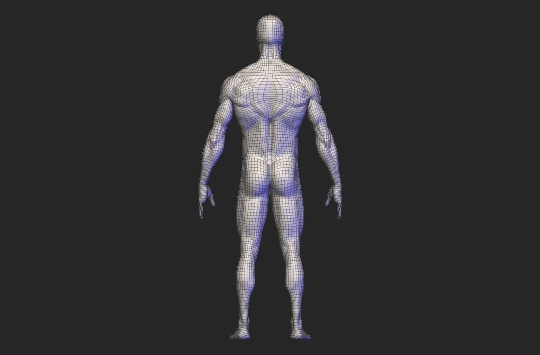 base mesh male  3D model_12