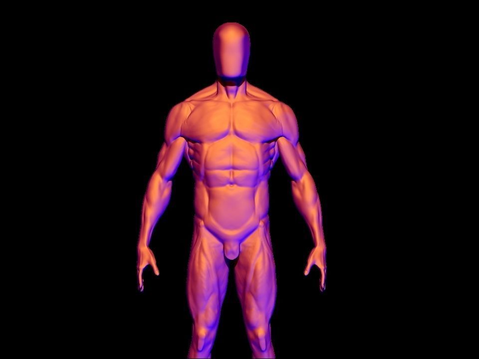 base mesh male  3D model_5