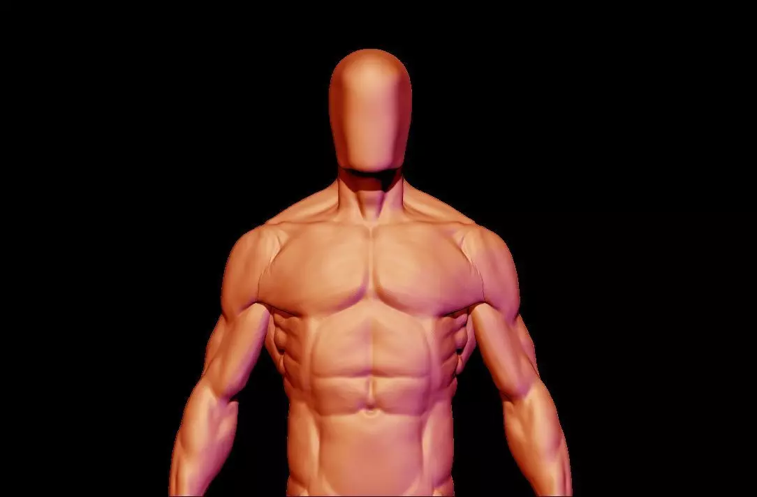 base mesh male  3D model_0