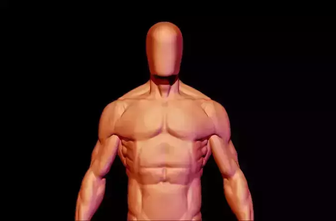base mesh male  3D model