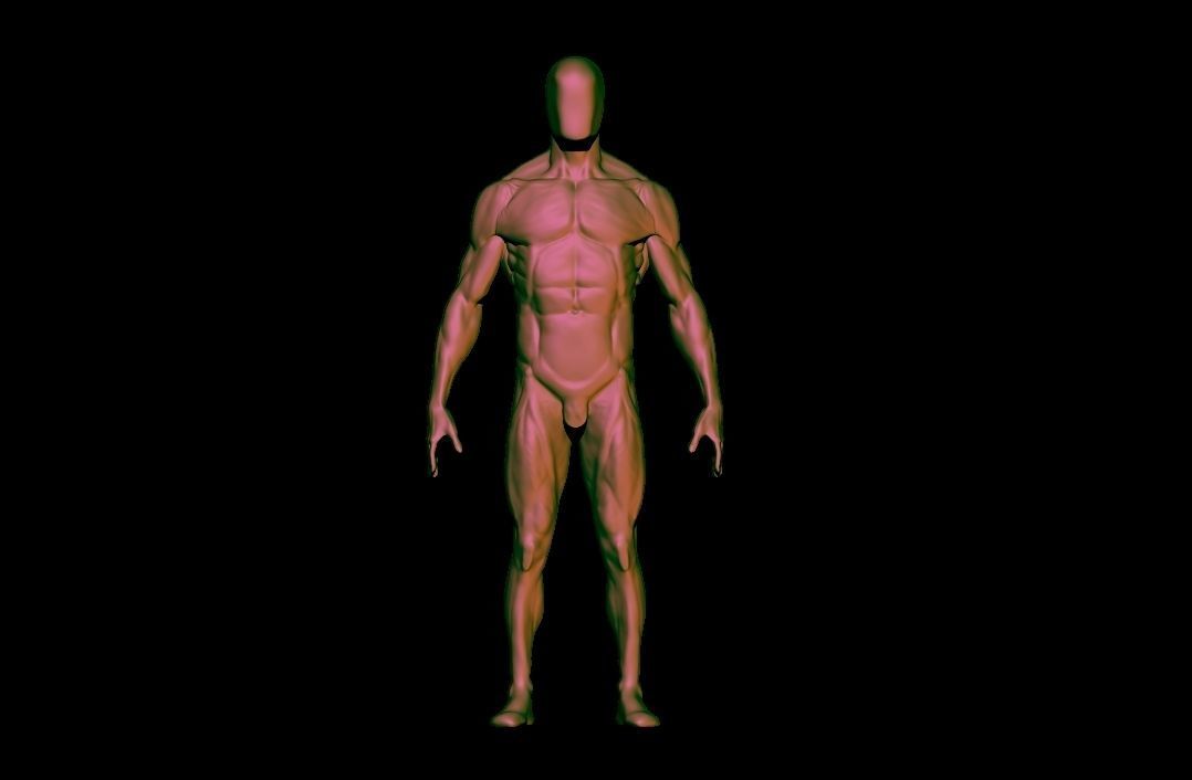 base mesh male  3D model_7