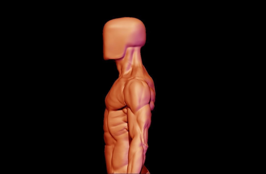 base mesh male  3D model_15