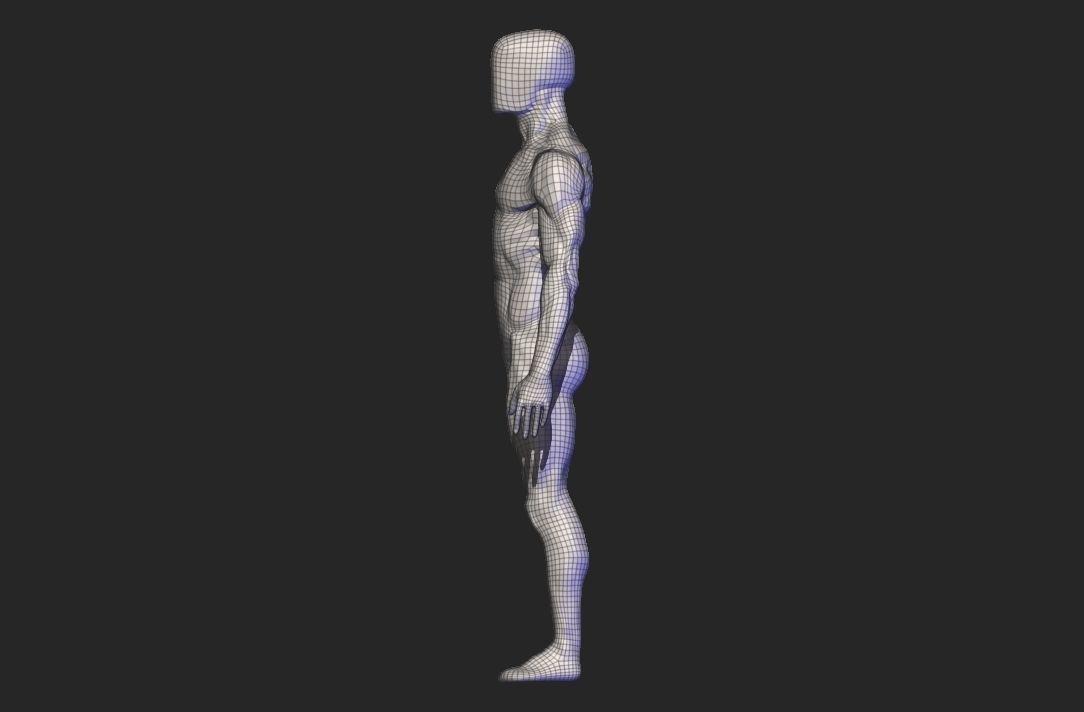 base mesh male  3D model_18