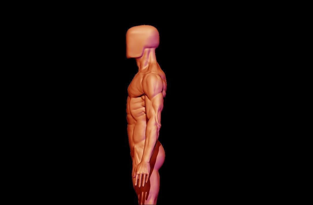 base mesh male  3D model_11