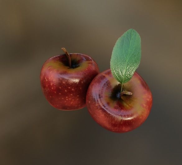 photo realistic rendered 3d apple  Low-poly 3D model_4