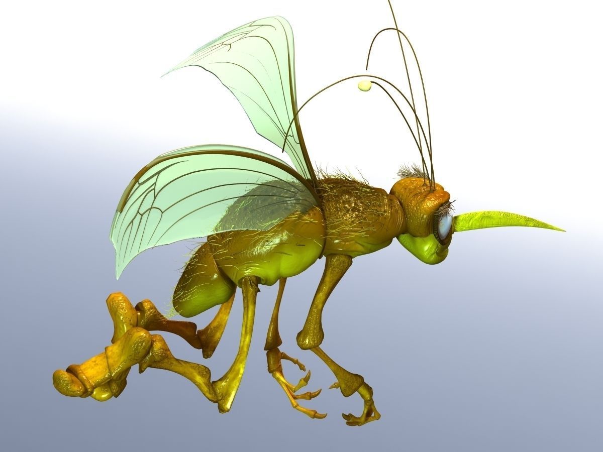 Mosquito Cartoon 3D model_4