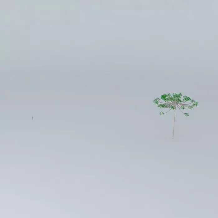 Araucaria model tree in fog Free 3D model