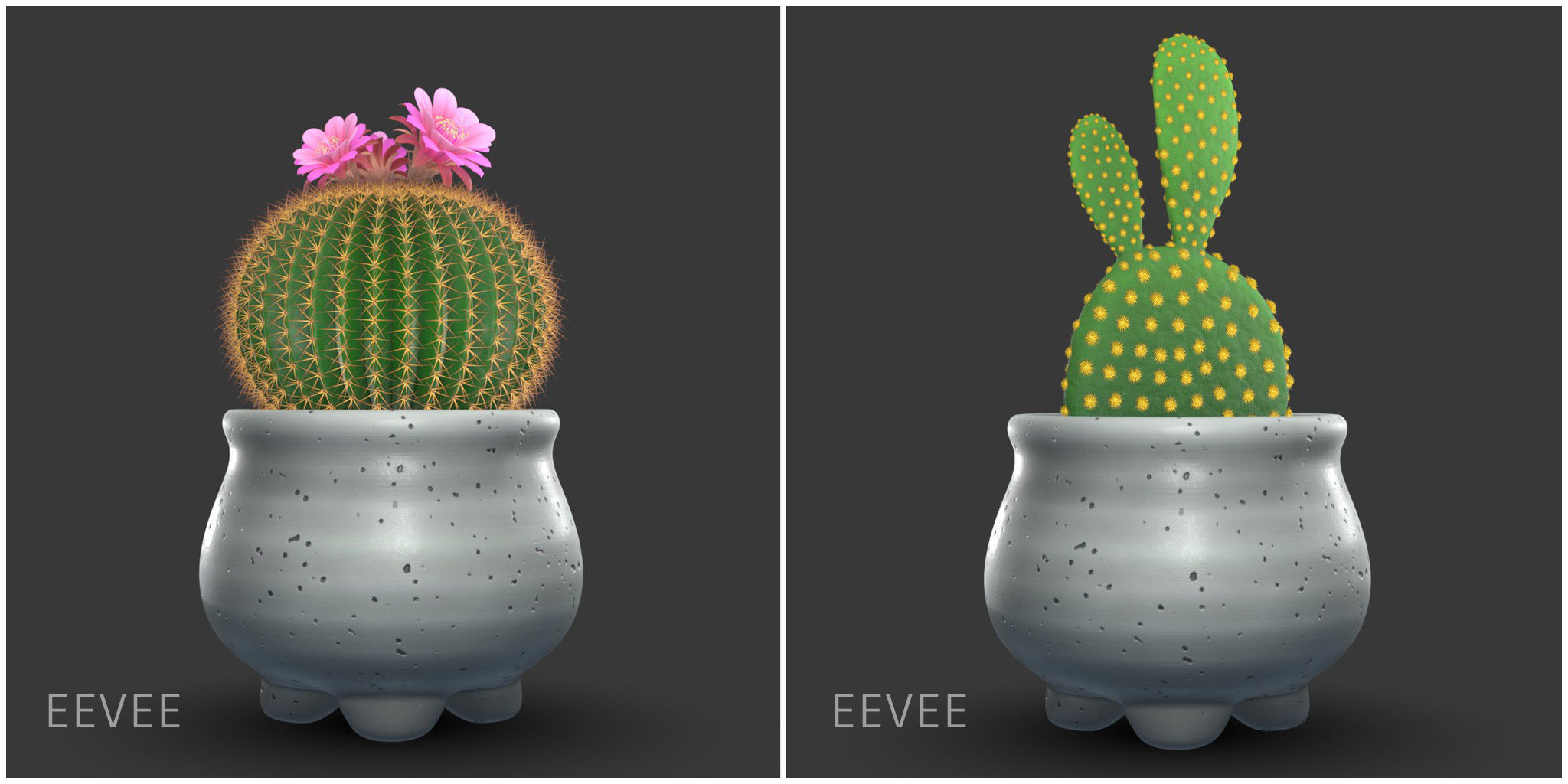 Stlyzed Cactus Set 3D model_7