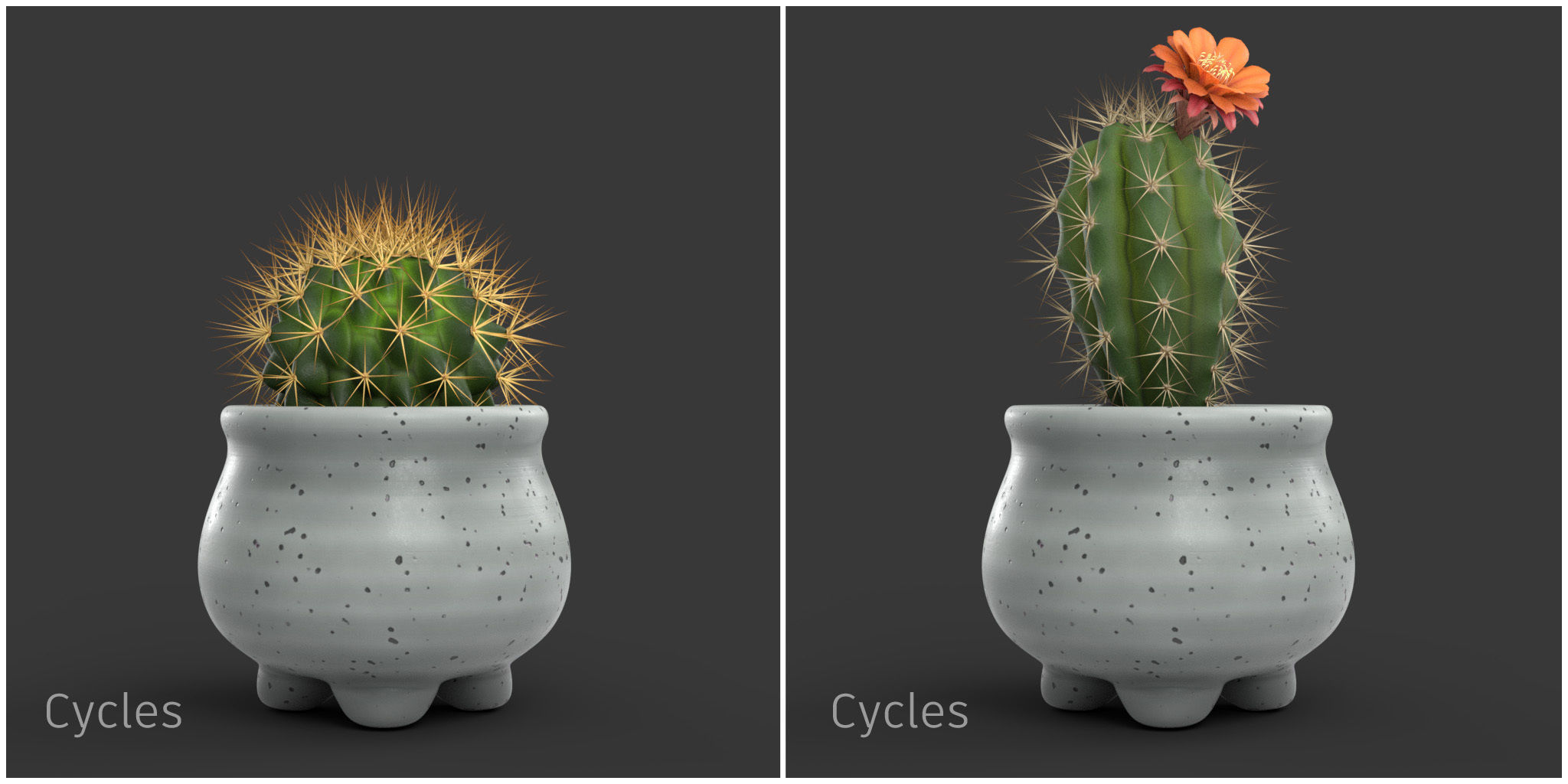 Stlyzed Cactus Set 3D model_3