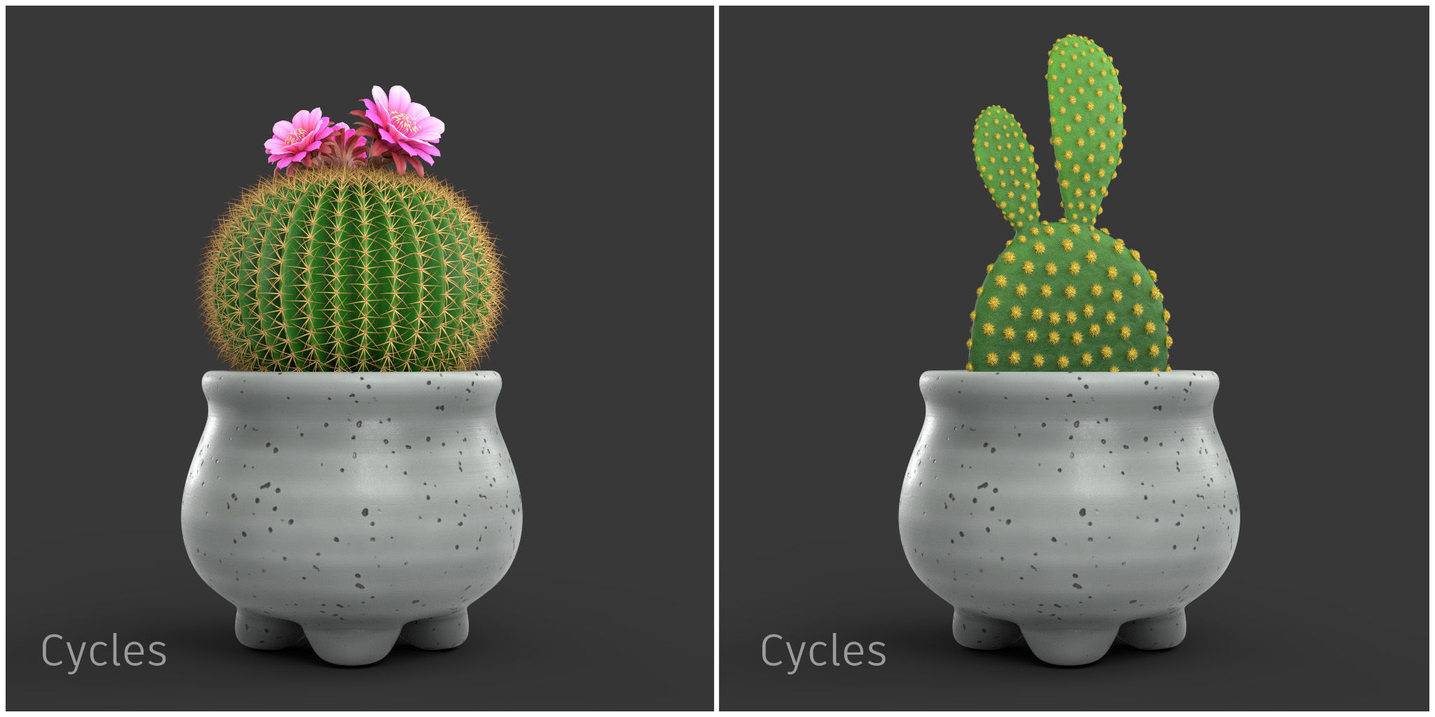 Stlyzed Cactus Set 3D model_4
