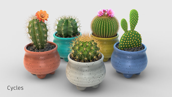 Stlyzed Cactus Set 3D model