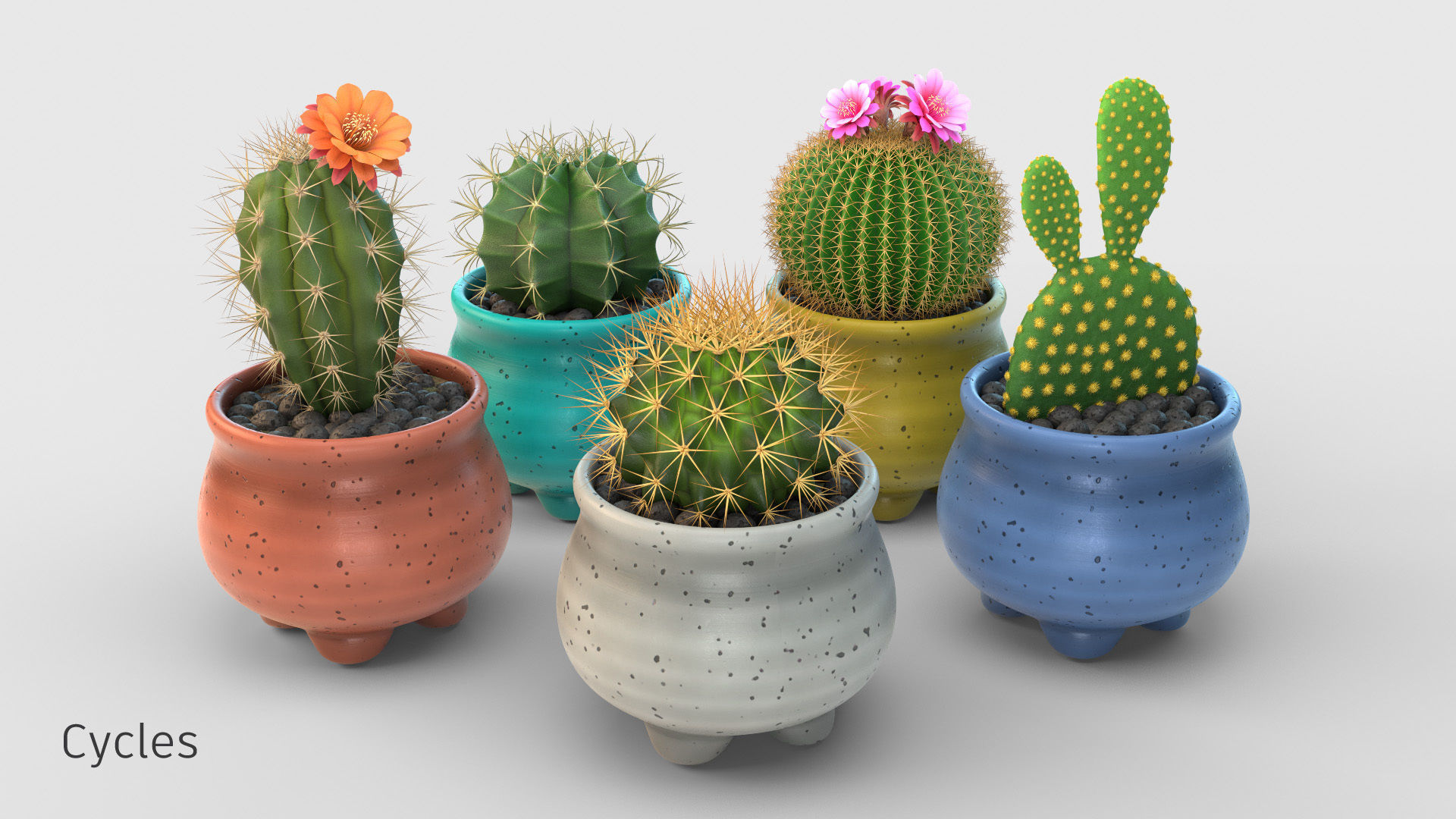 Stlyzed Cactus Set 3D model_0