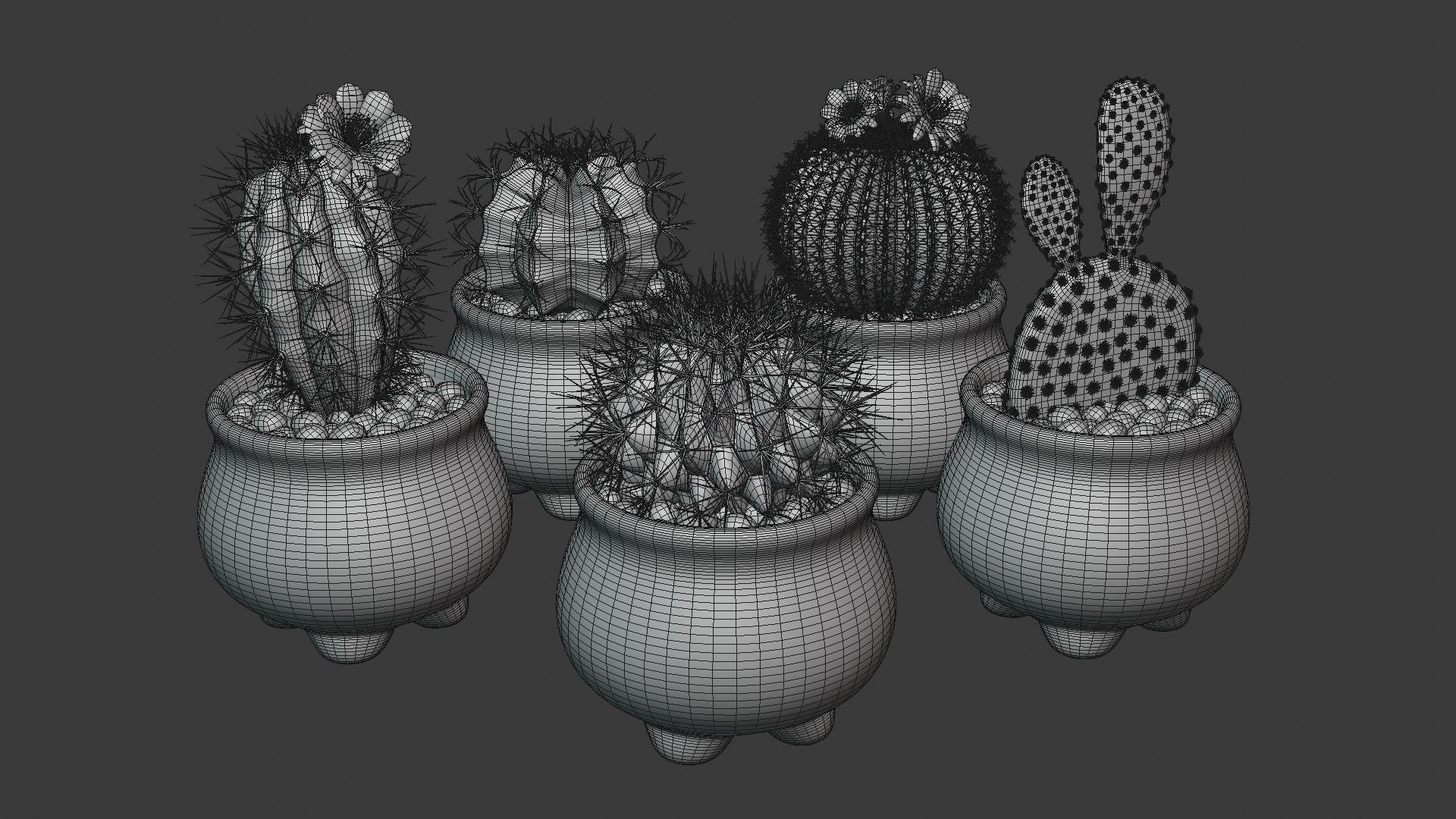 Stlyzed Cactus Set 3D model_8