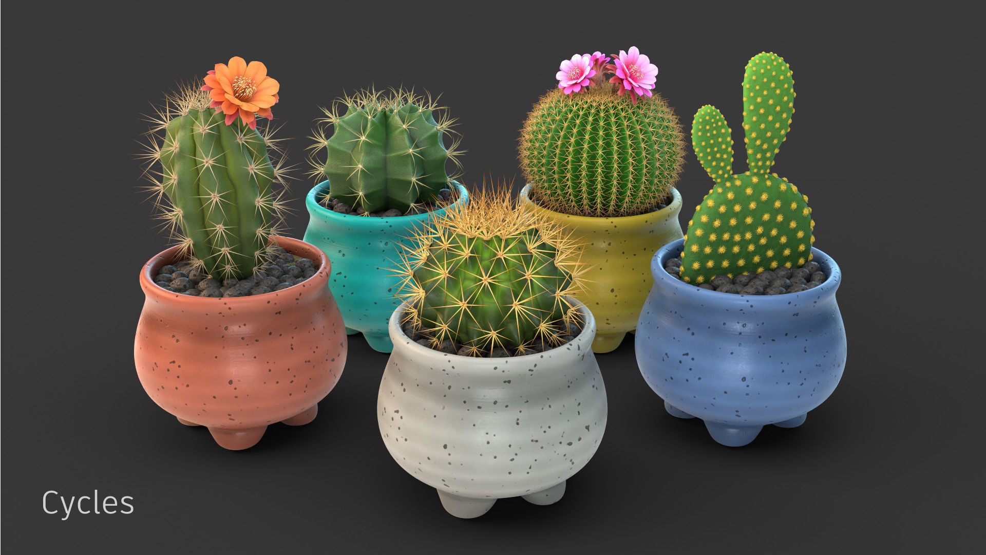 Stlyzed Cactus Set 3D model_2