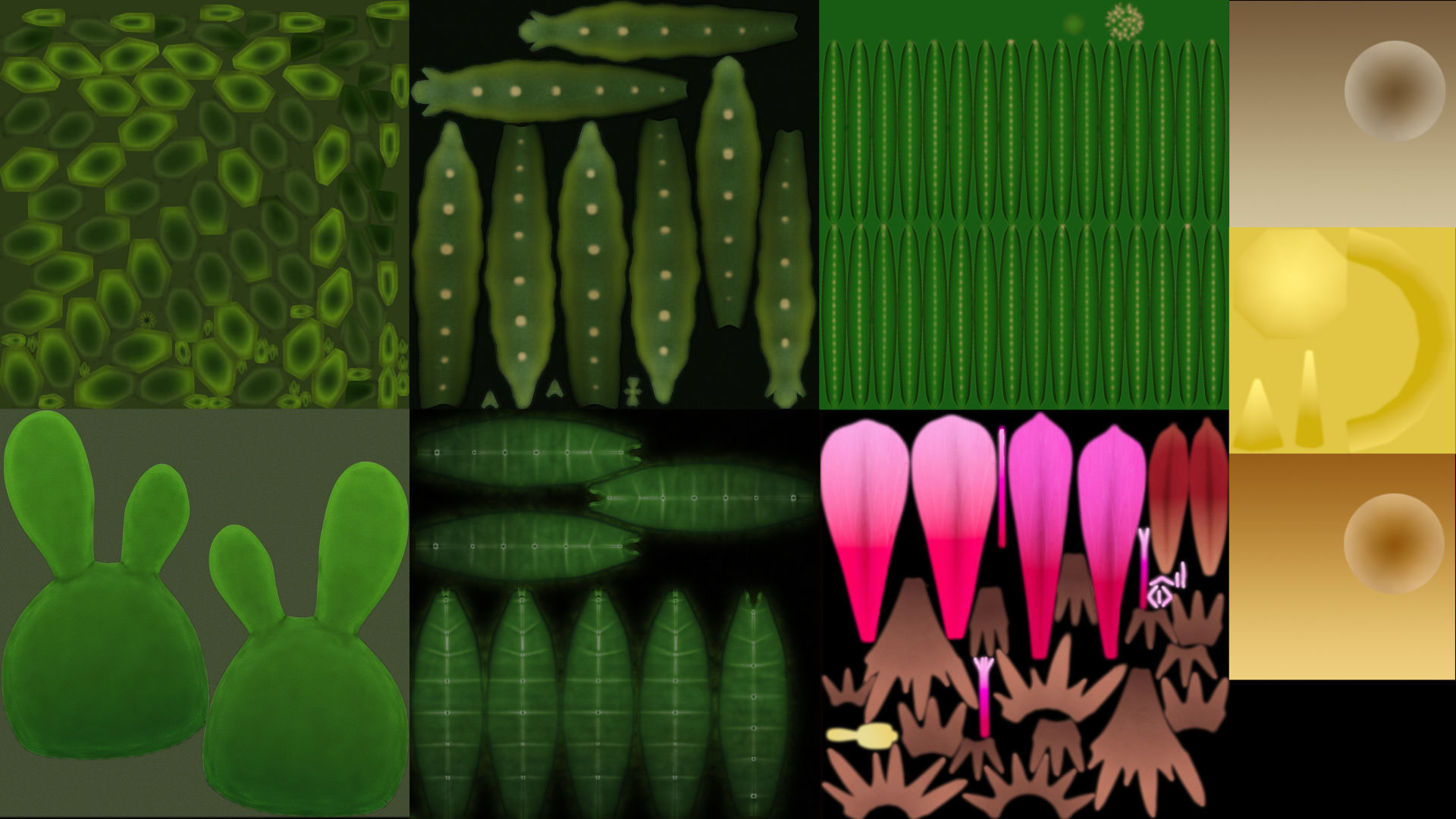 Stlyzed Cactus Set 3D model_9