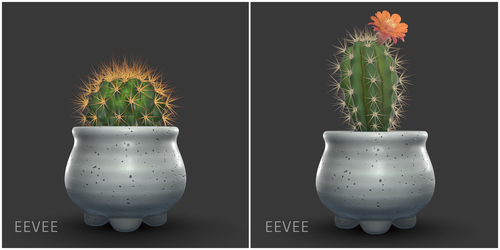 Stlyzed Cactus Set 3D model_6
