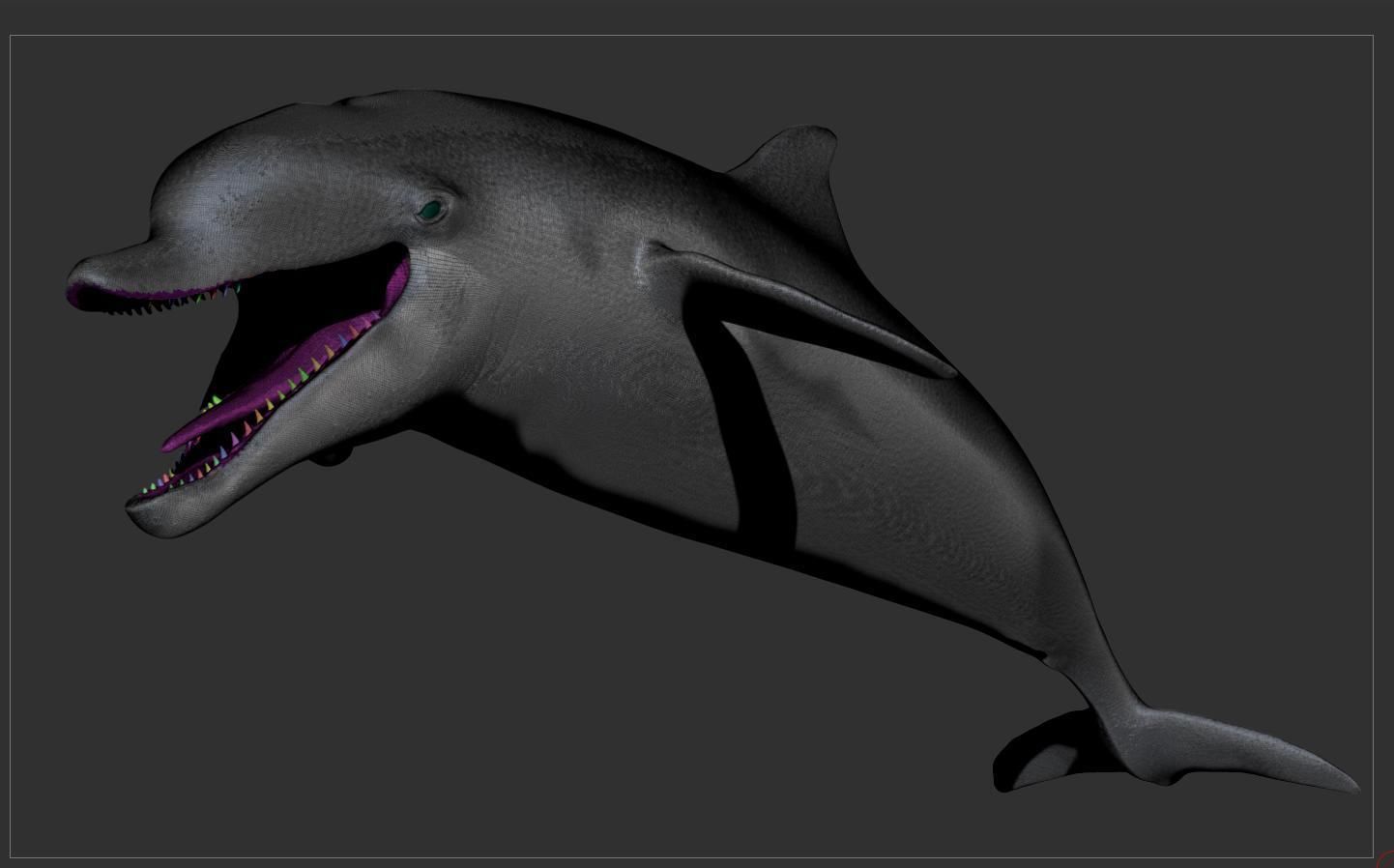 Dolphin Sculpt 3D model_14