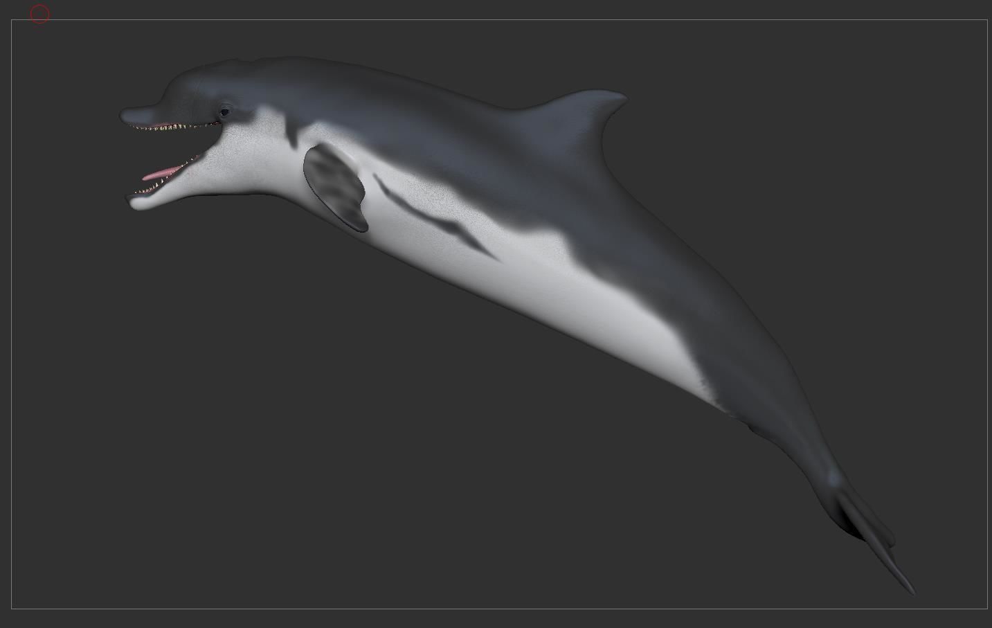 Dolphin Sculpt 3D model_17