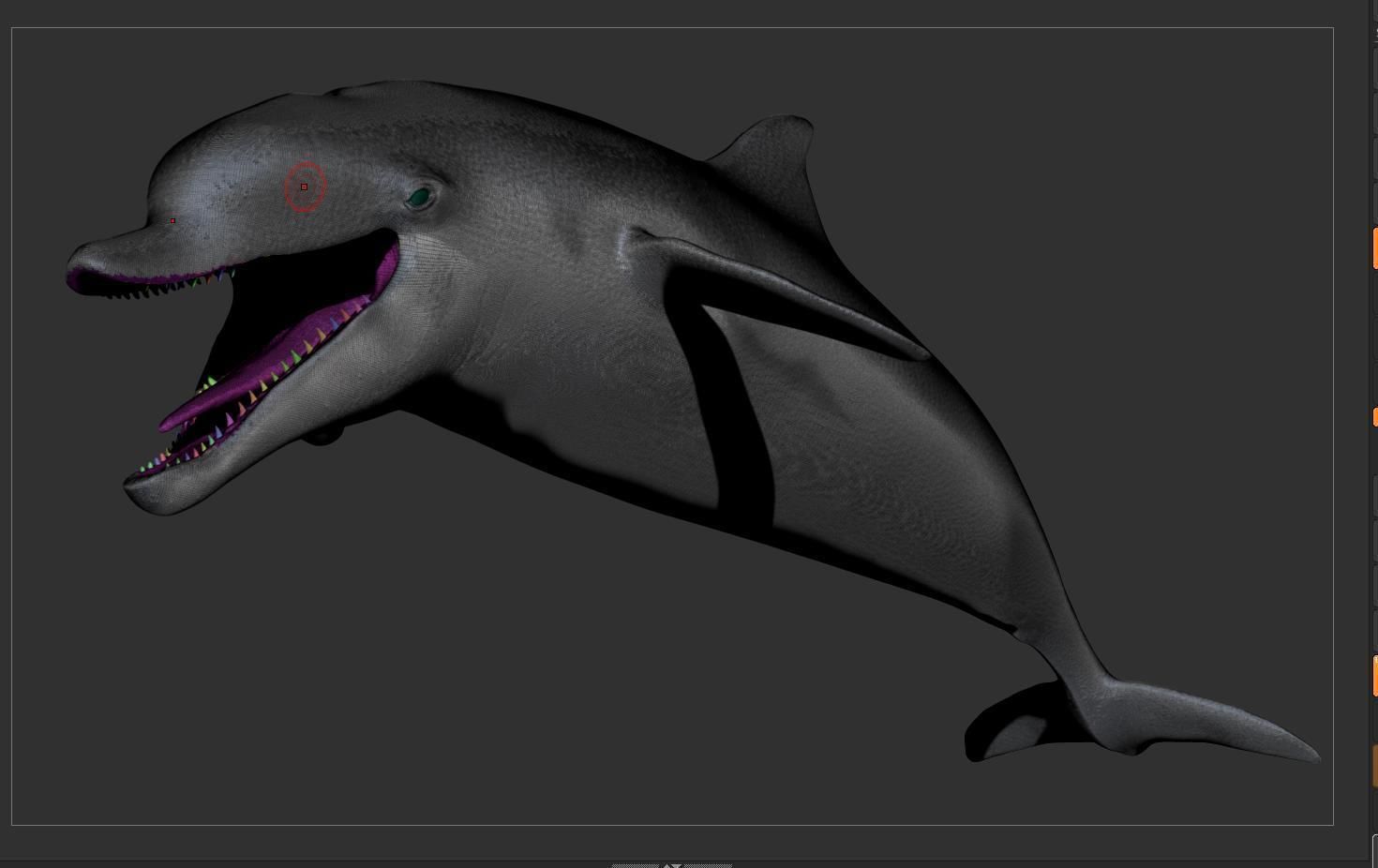 Dolphin Sculpt 3D model_13