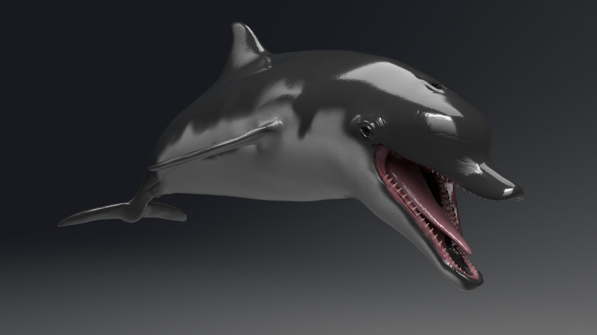 Dolphin Sculpt 3D model_1