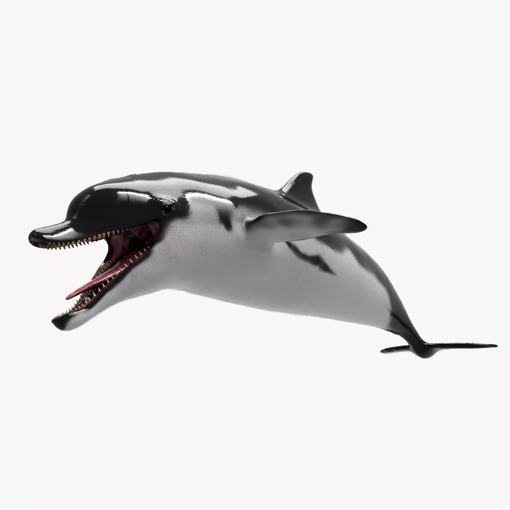 Dolphin Sculpt 3D model_0
