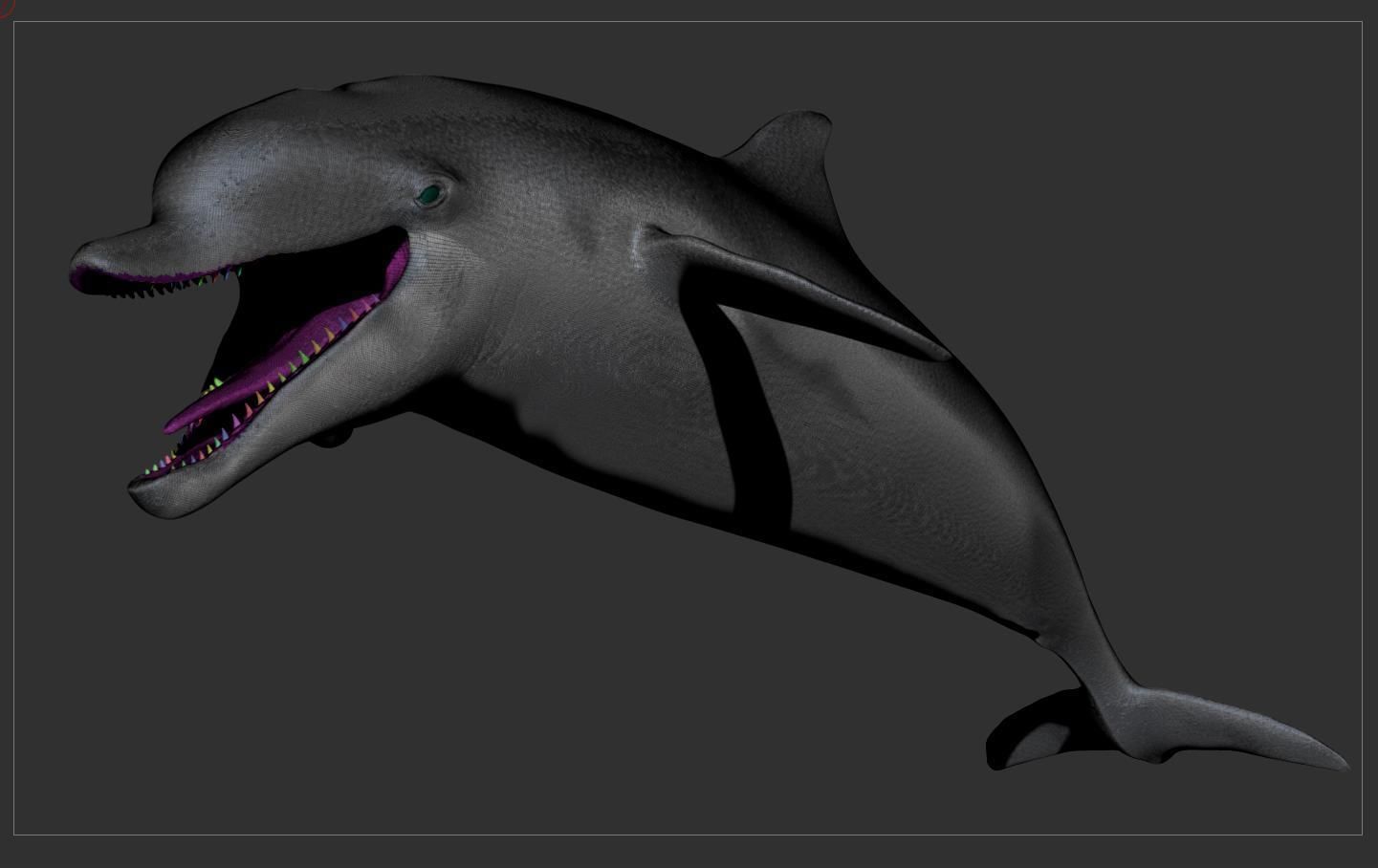 Dolphin Sculpt 3D model_12