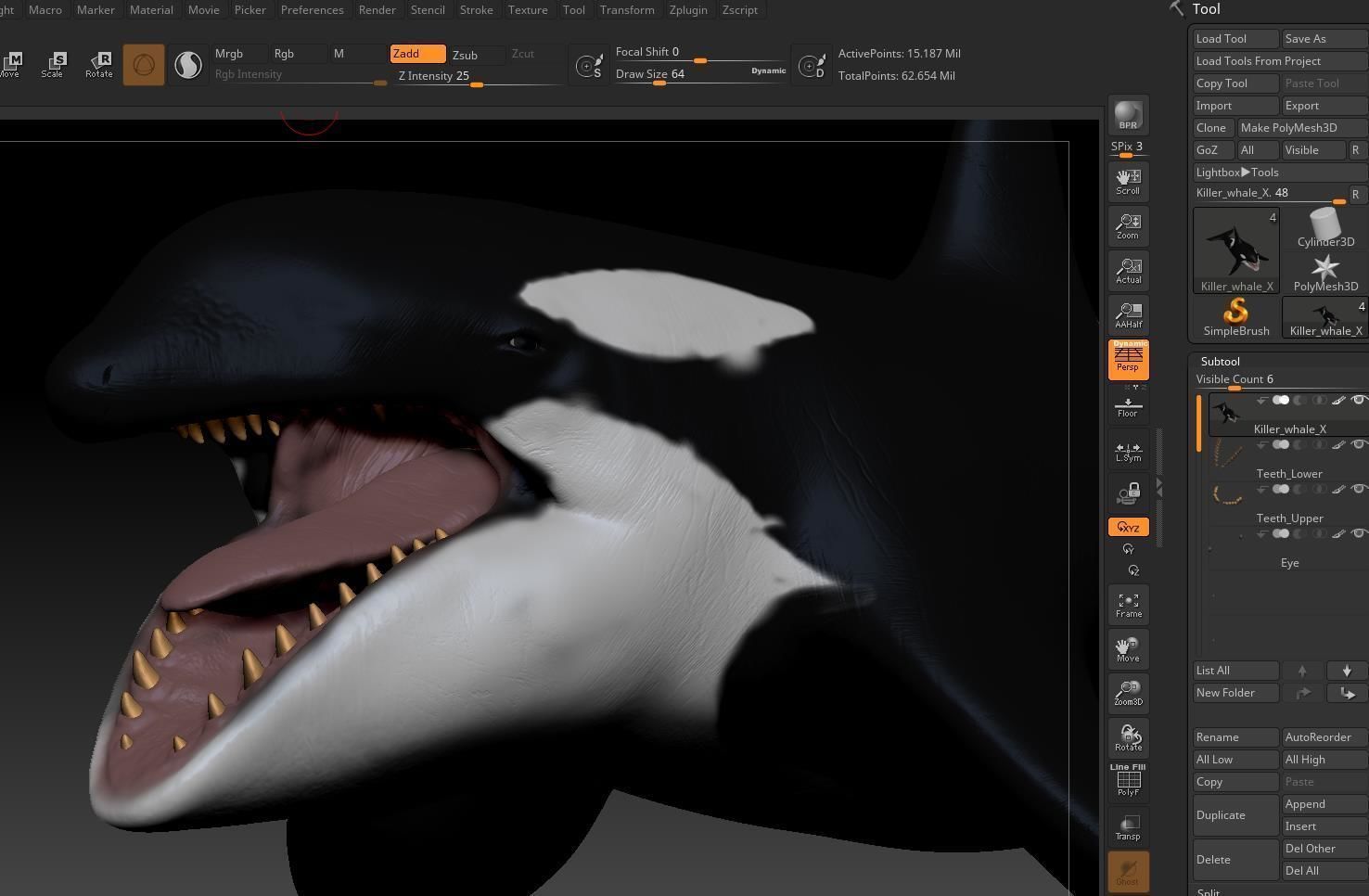 Killer Whale  Sculpt 3D model_14