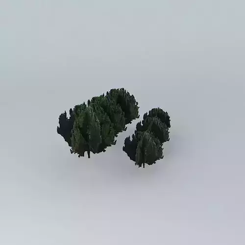 models trees