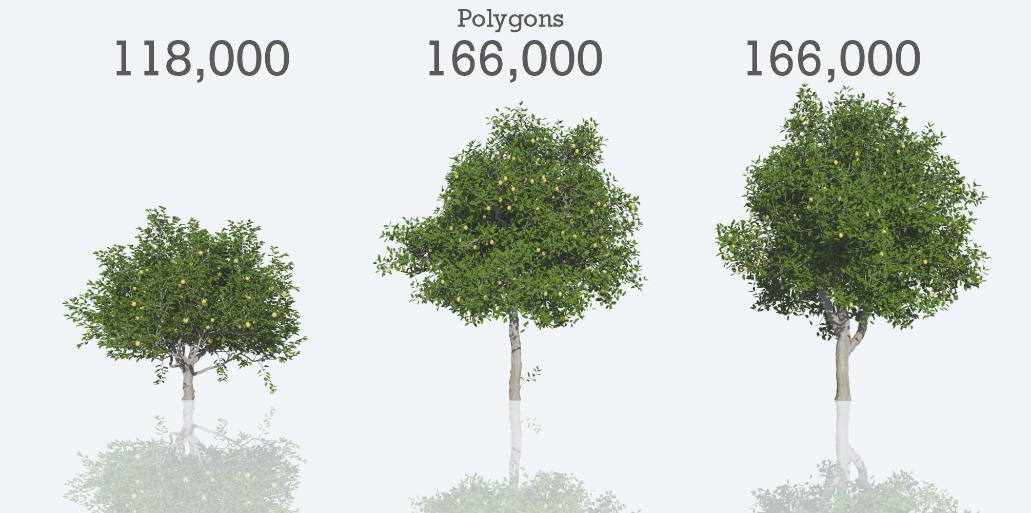 Lemon Trees Pack 3D model_6