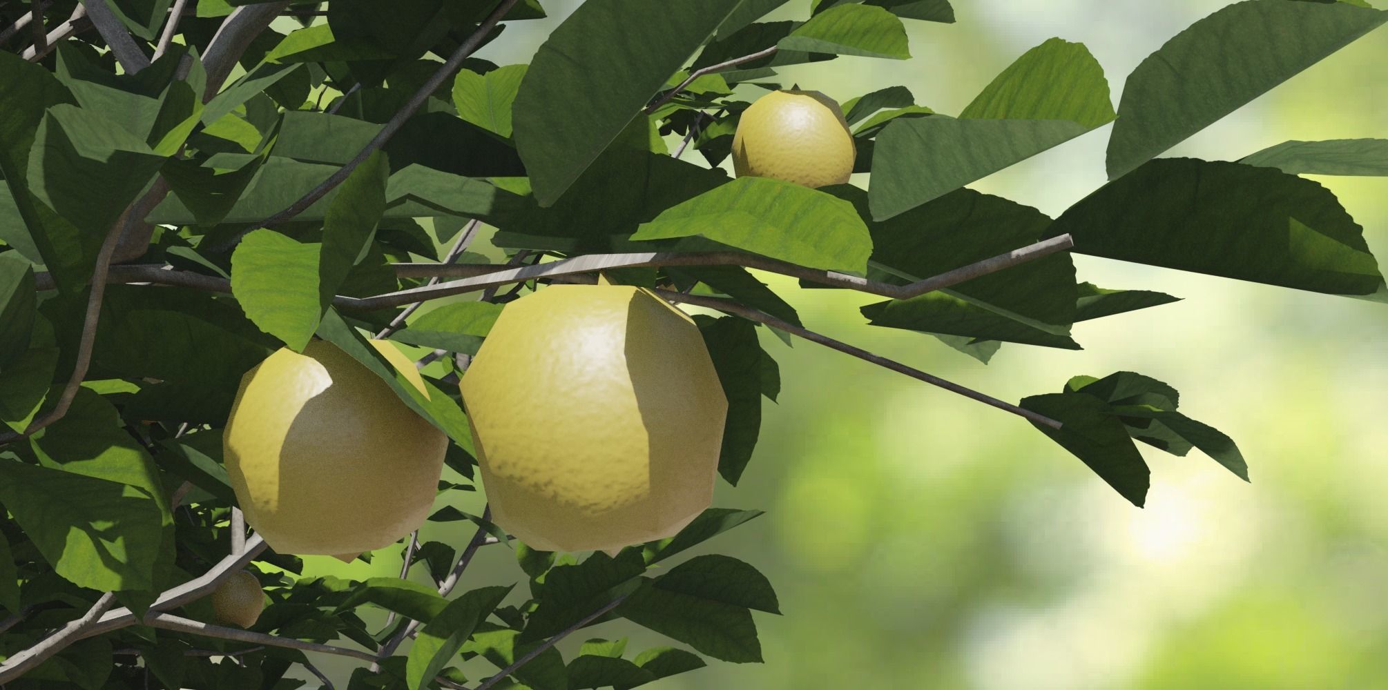 Lemon Trees Pack 3D model_3