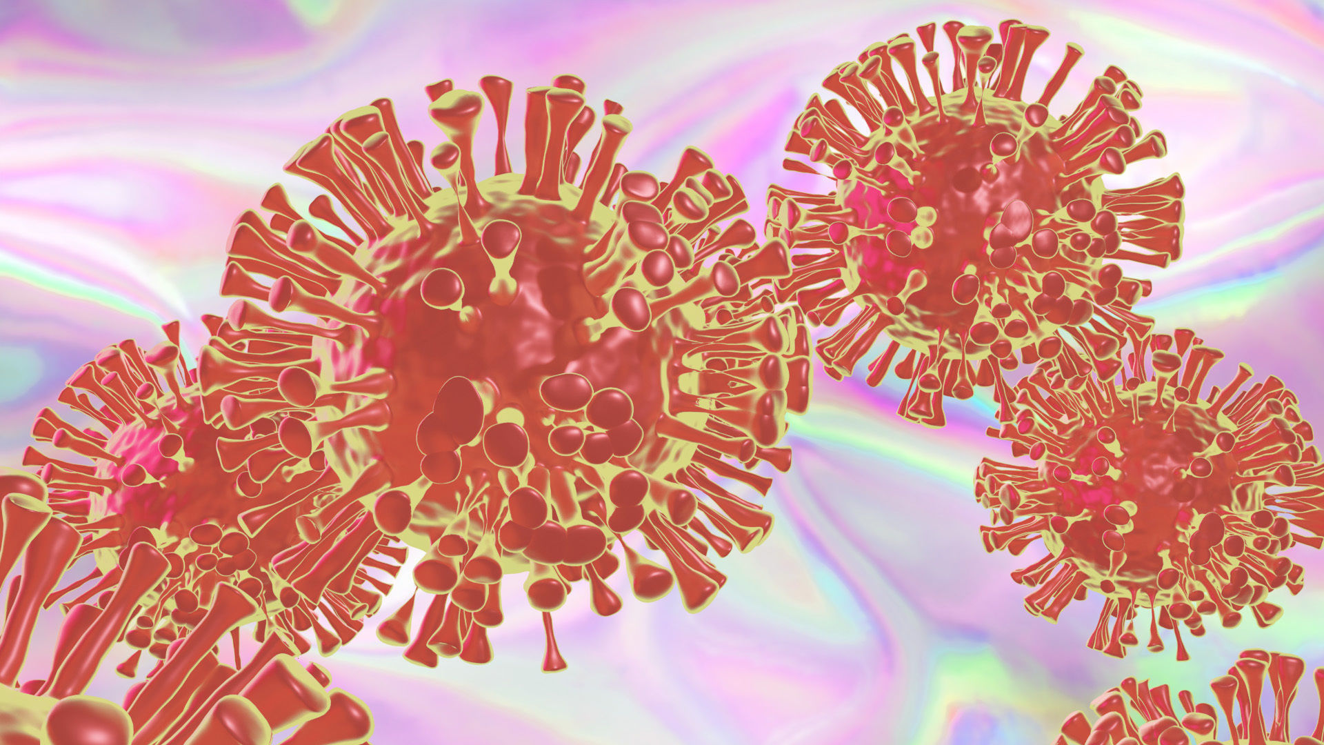 COVID-19 CORONAVIRUS 3D model_1