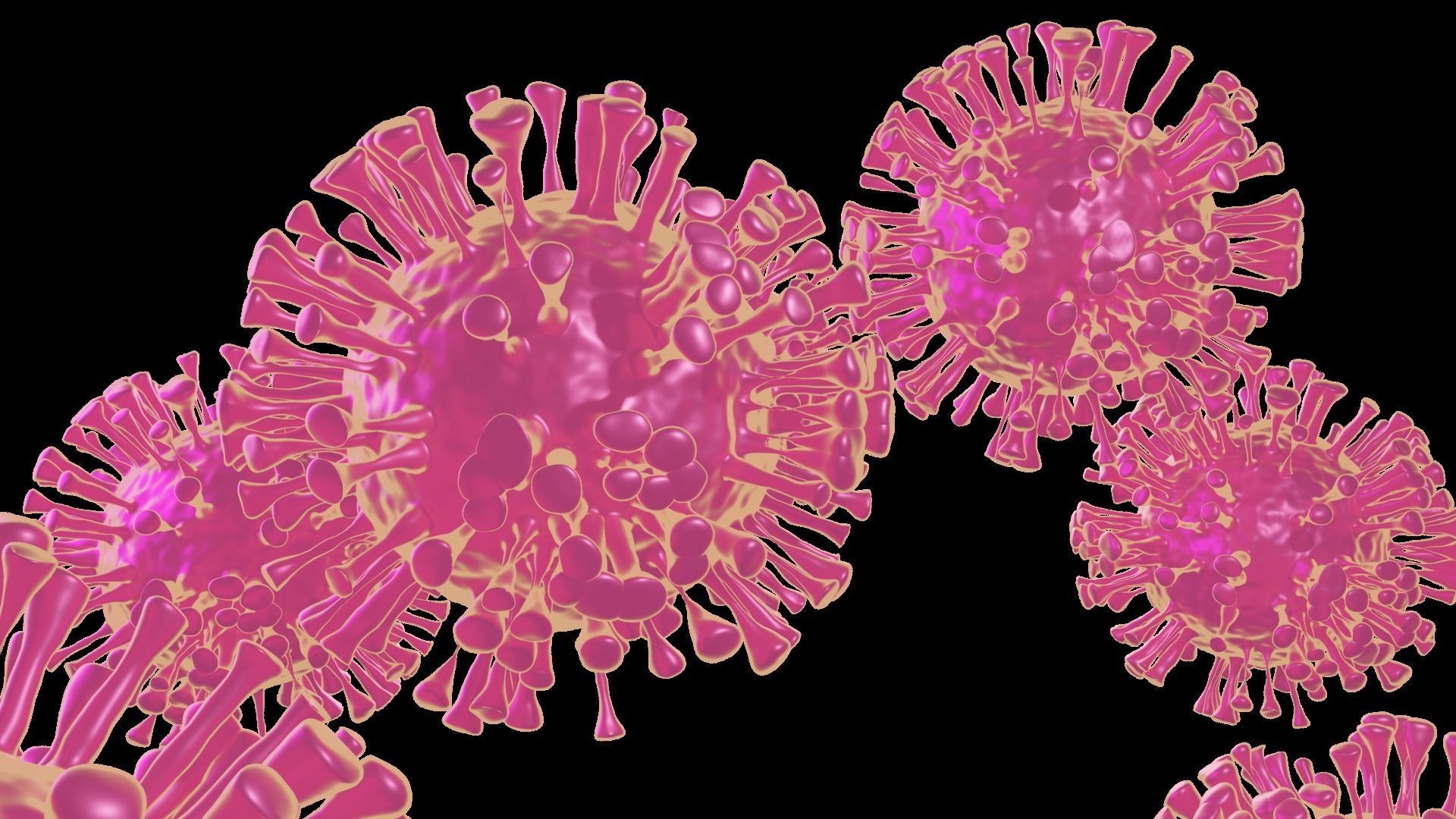 COVID-19 CORONAVIRUS 3D model_5