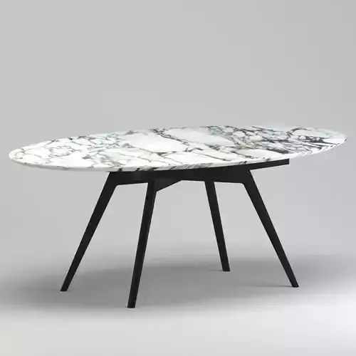 Ico Parisi Dining Table