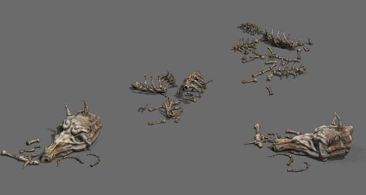 hing tools - animal bones - casks - fishing nets 3D model_1