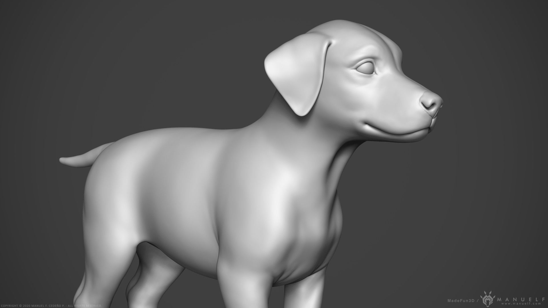 Dog Puppy - Highpoly Sculpture 3D model_4