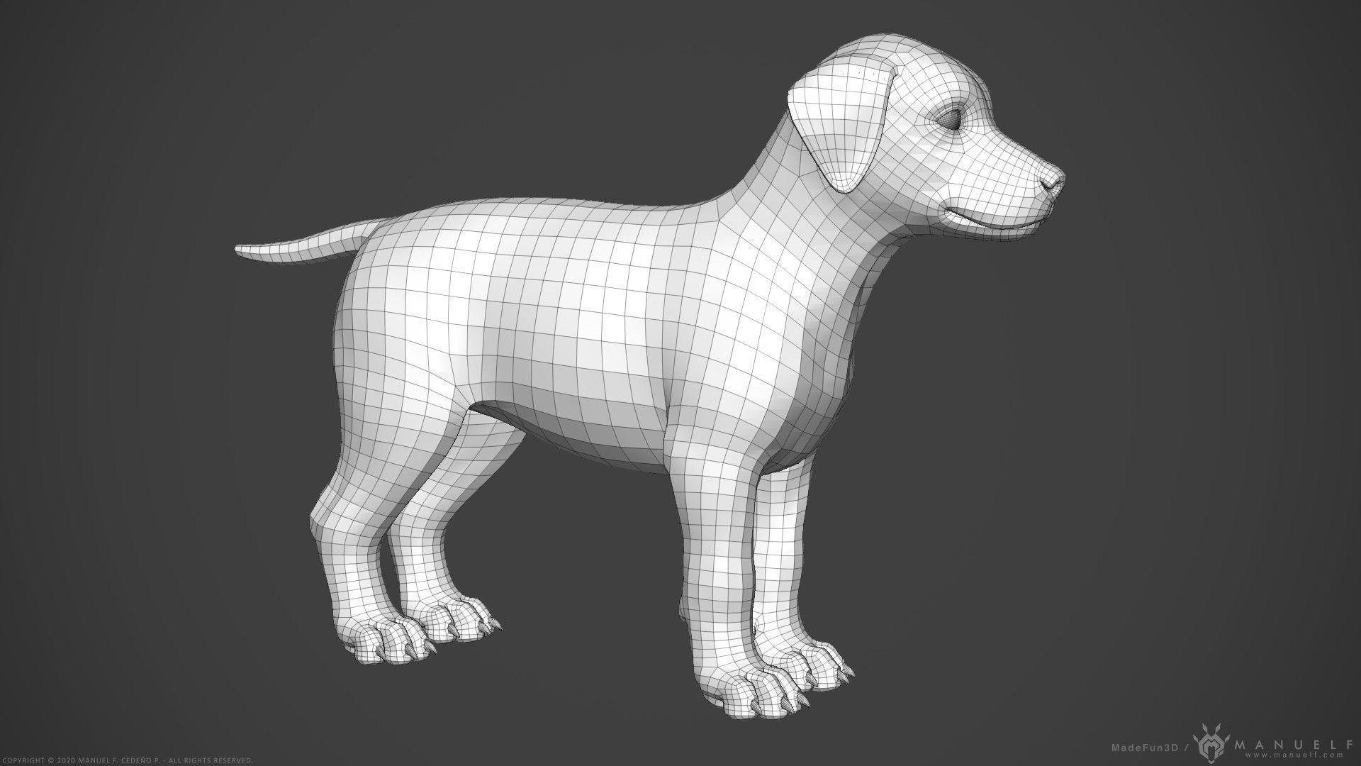 Dog Puppy - Highpoly Sculpture 3D model_19
