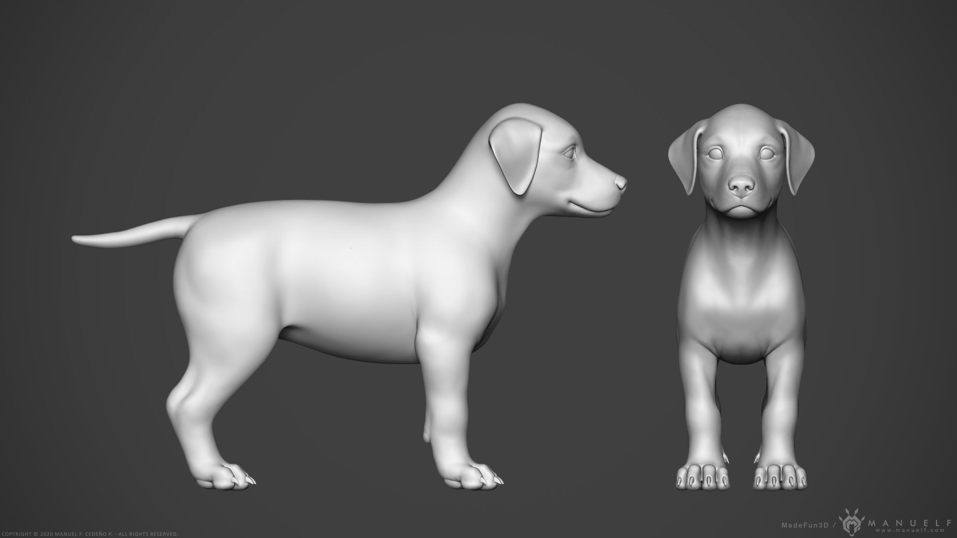 Dog Puppy - Highpoly Sculpture 3D model_3
