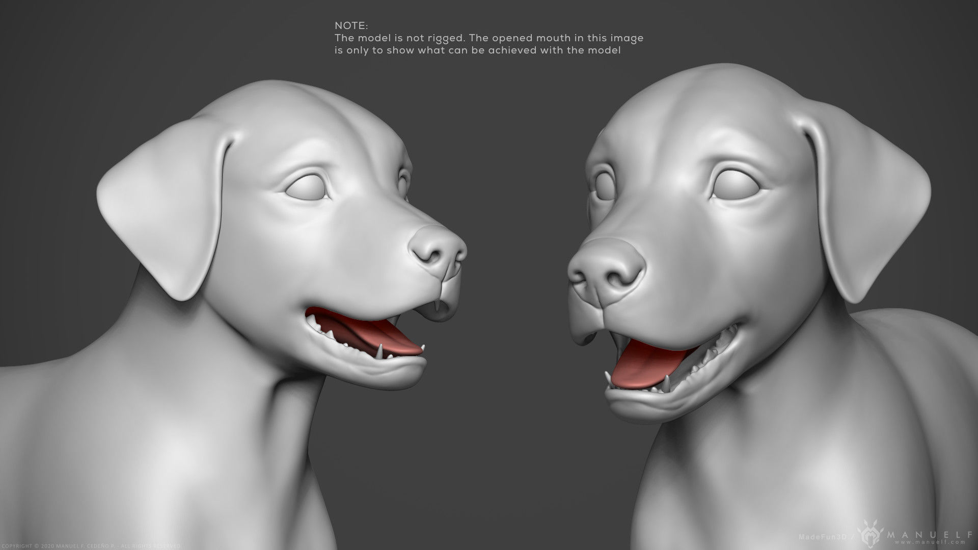 Dog Puppy - Highpoly Sculpture 3D model_7