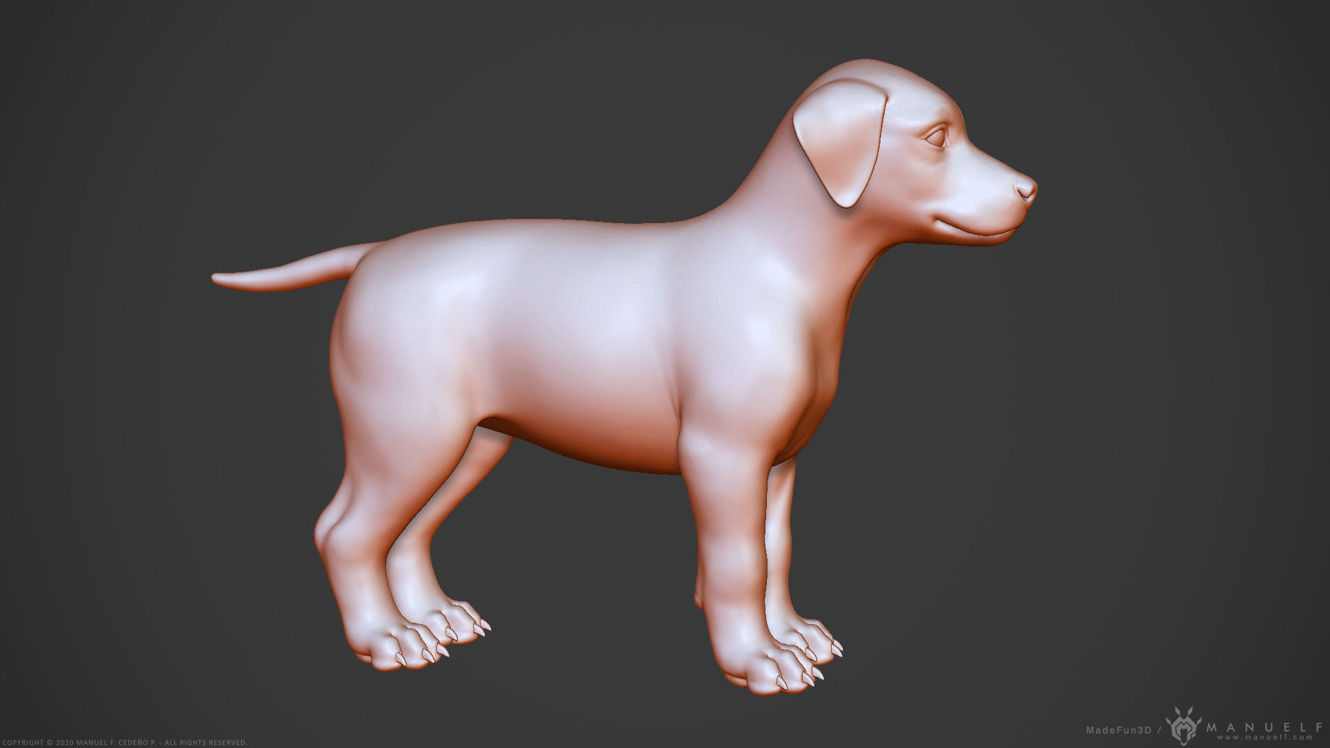 Dog Puppy - Highpoly Sculpture 3D model_13