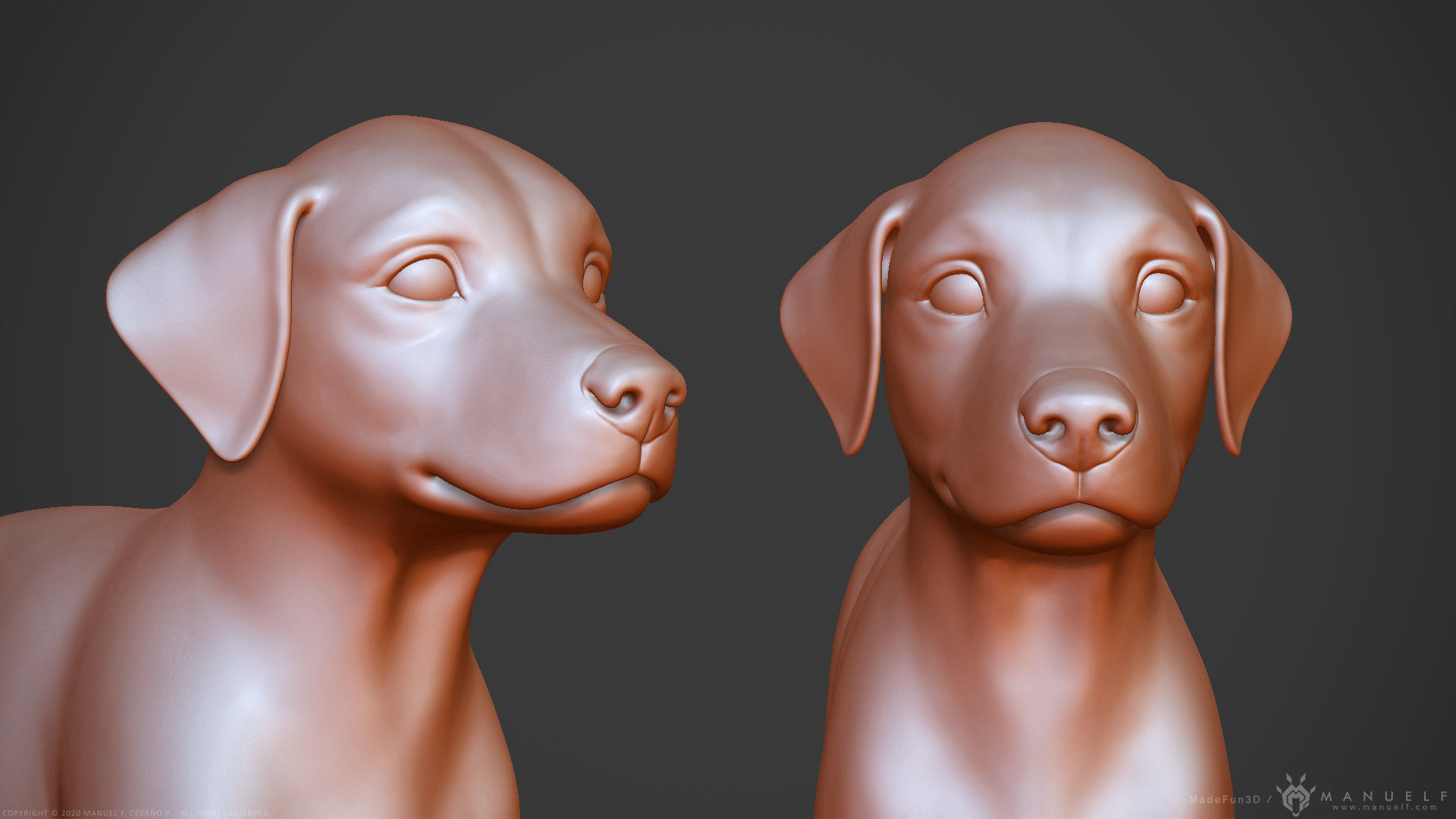 Dog Puppy - Highpoly Sculpture 3D model_6