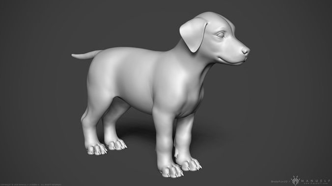 Dog Puppy - Highpoly Sculpture 3D model