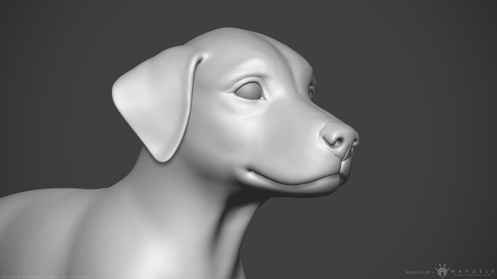 Dog Puppy - Highpoly Sculpture 3D model_5