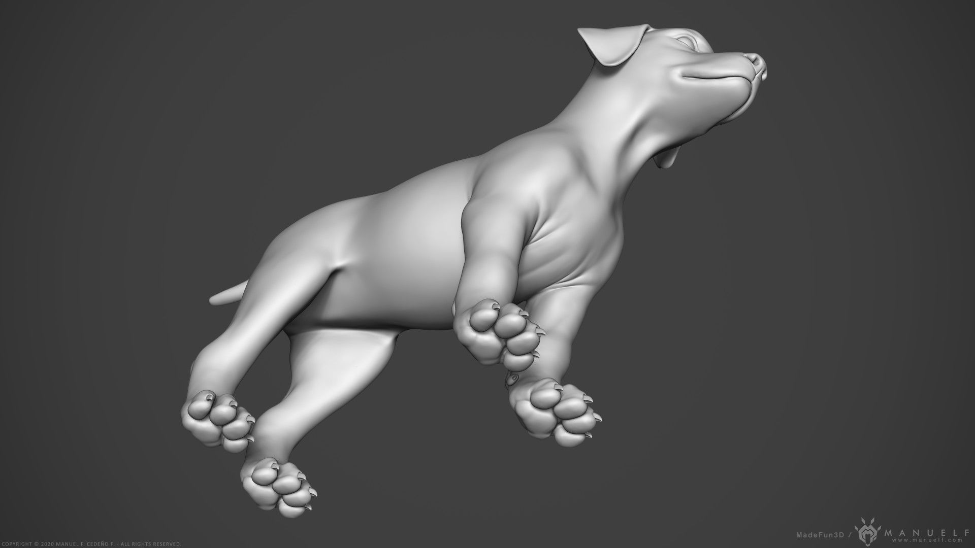 Dog Puppy - Highpoly Sculpture 3D model_12