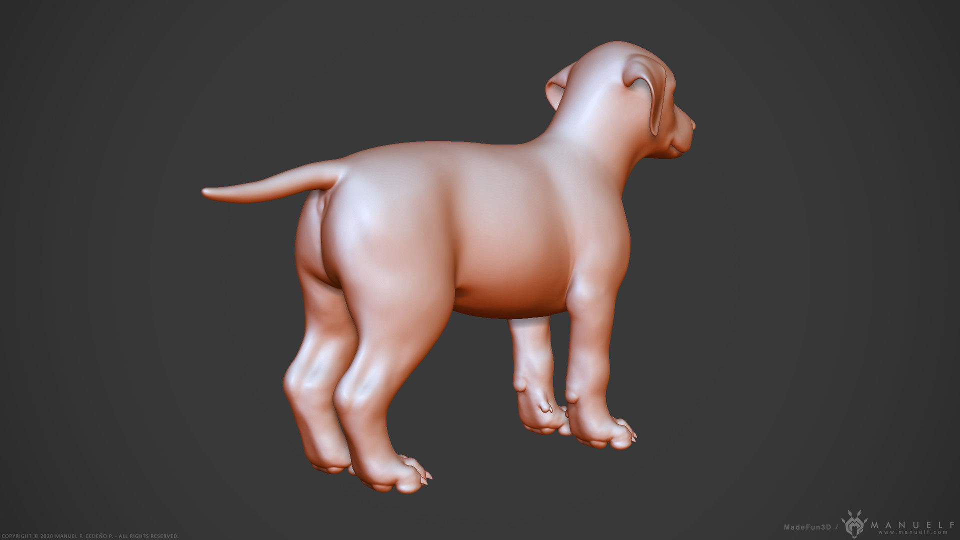 Dog Puppy - Highpoly Sculpture 3D model_14