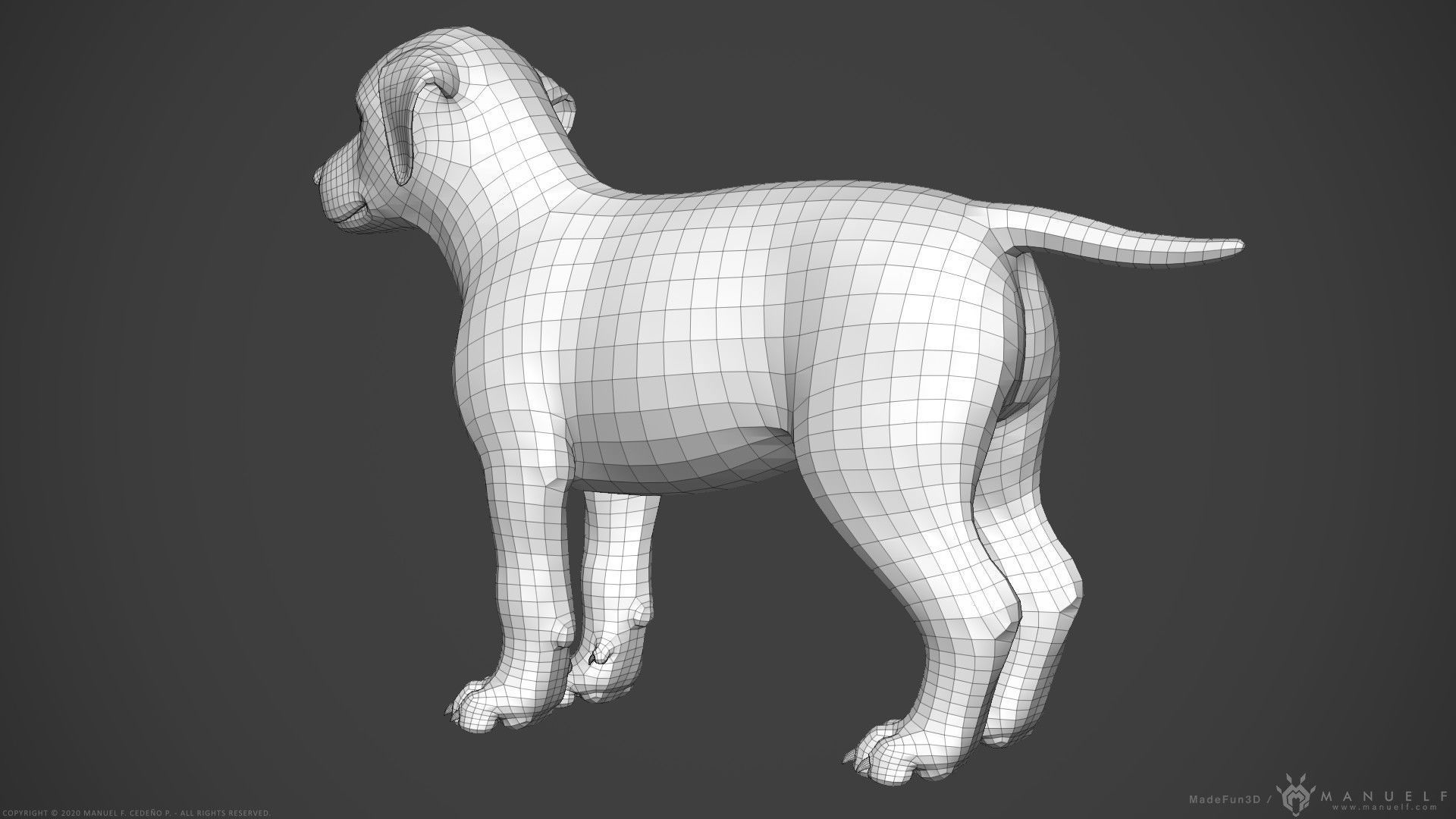 Dog Puppy - Highpoly Sculpture 3D model_20