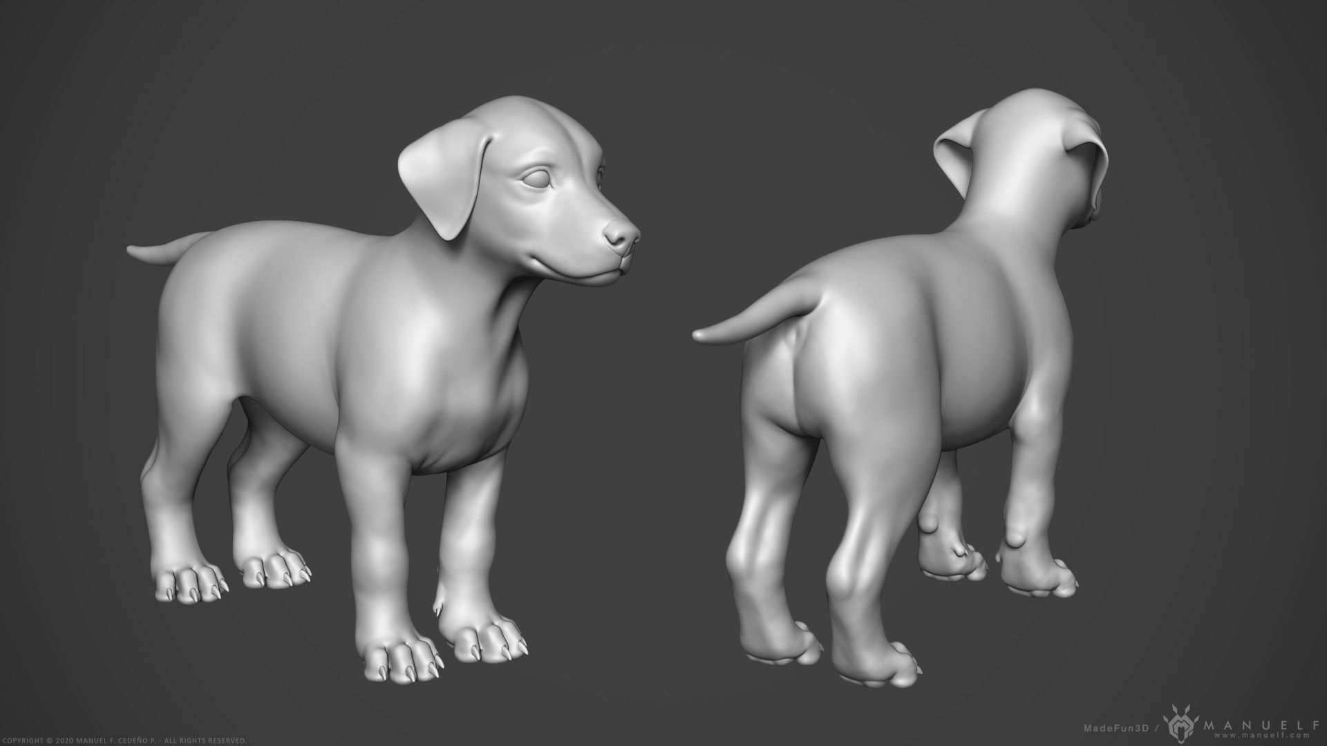 Dog Puppy - Highpoly Sculpture 3D model_2